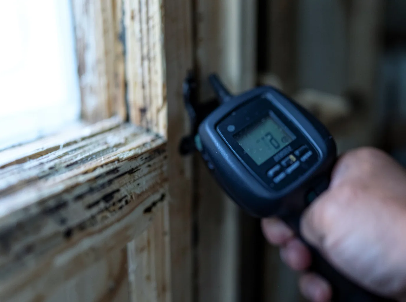 Commercial Water Damage Restoration in Boulder City, NV
